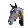 Halster leer/nylon Lesmo Flags & Cup - Pruim