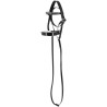 Hobby Horse Pony Academy Anatomisch hoofdstel - Zwart