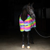 Fleecedeken Imperial Riding Stripe - Regenboog