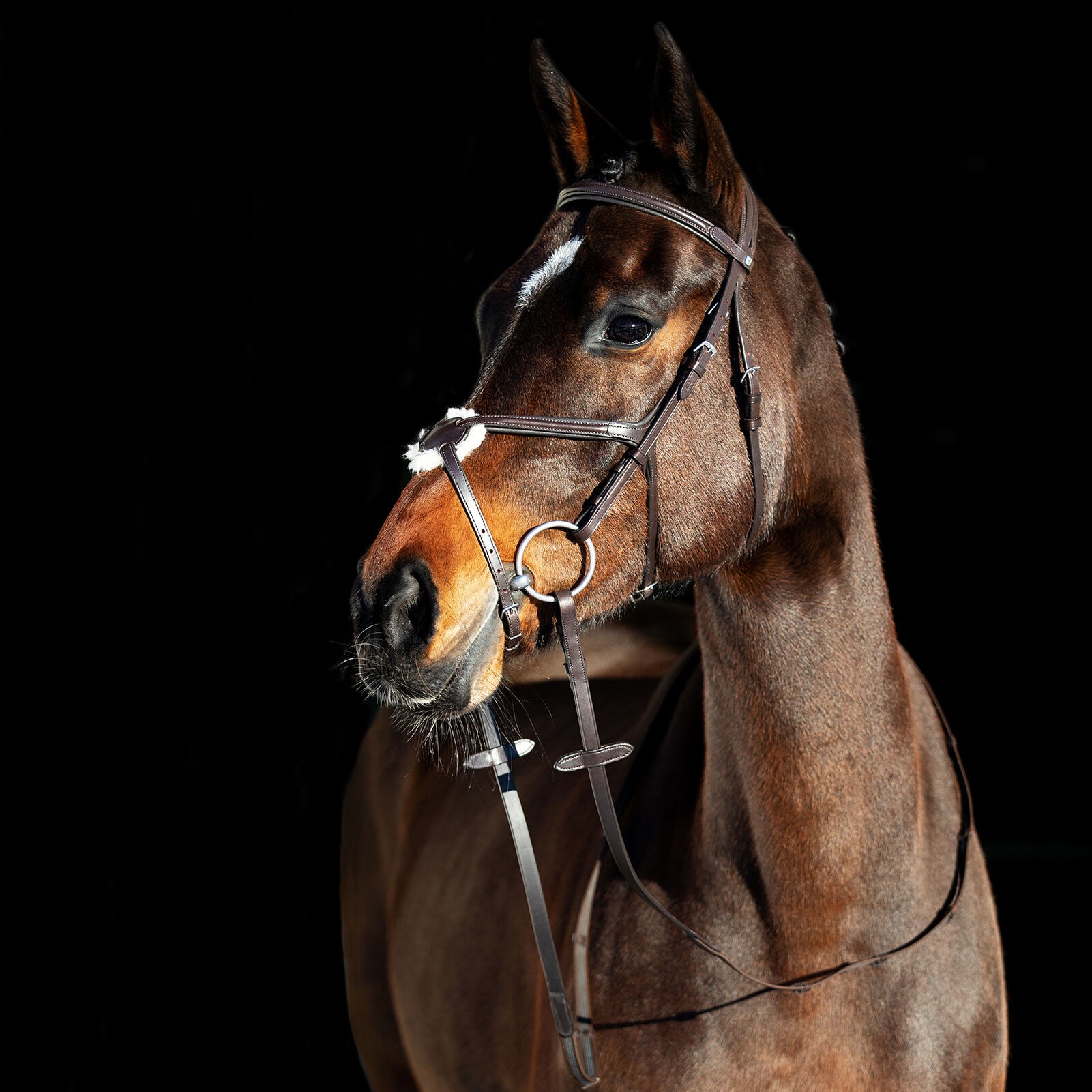 Hoofdstel met kruisneusriem Prescott Horze Bruin