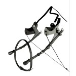 NEERWAARTSE SCHELPEN