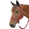 Set halster in nylon/lurex + Canter-leidraad - Rood / zilver