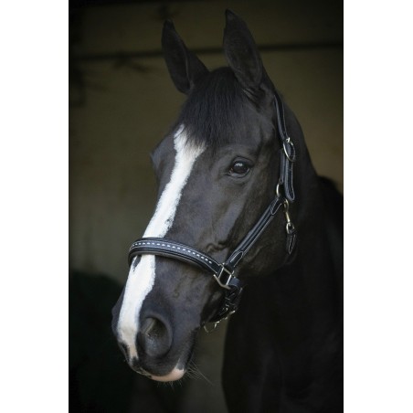 Lederen halster Pénélope Point Sellier