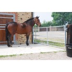 VASTE WEIDEPOORT DIAMETER 42/35