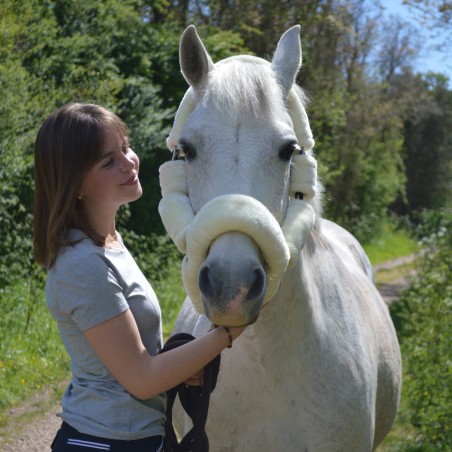 Transporthalster Flags & Cup