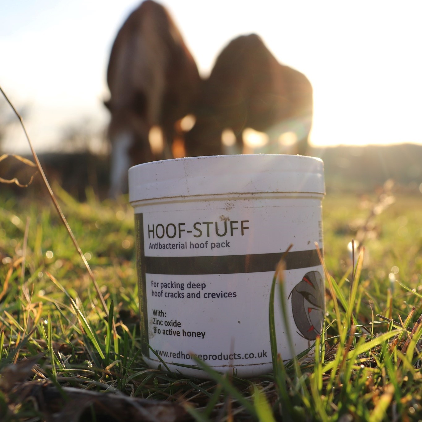 Hoof Stuff Red Horse Hoof Stuff Red Horse