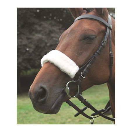 Neusriemhoes Acrilan Shires