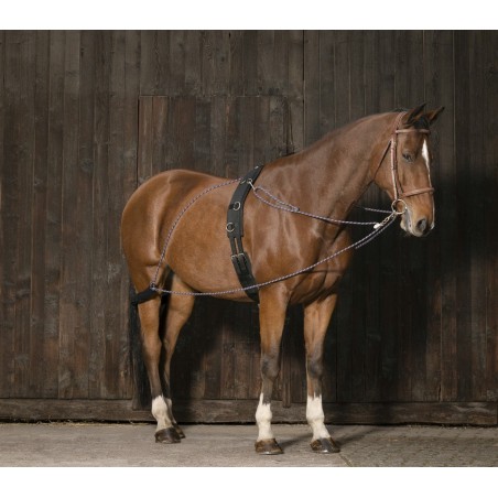 Norton katrollenhulpteugel