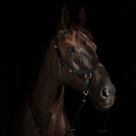 Gecombineerd hoofdstel Orlando Horze bitloos in leer