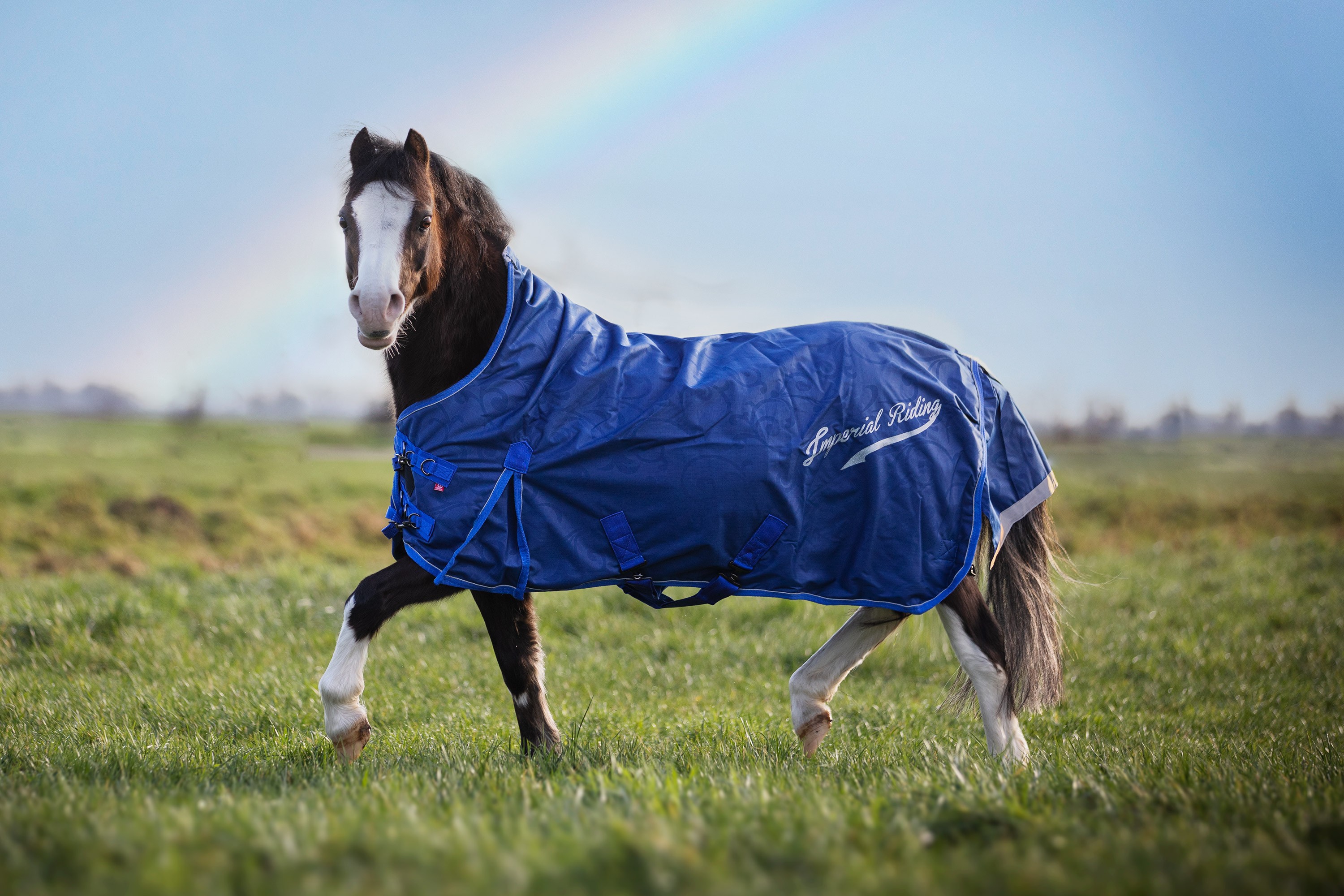 Paddockdeken Imperial Riding Super-dry 200gr Rood Paddockdeken Imperial Riding Super-dry 200gr Rood