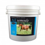 Knoflookgries Horse Master