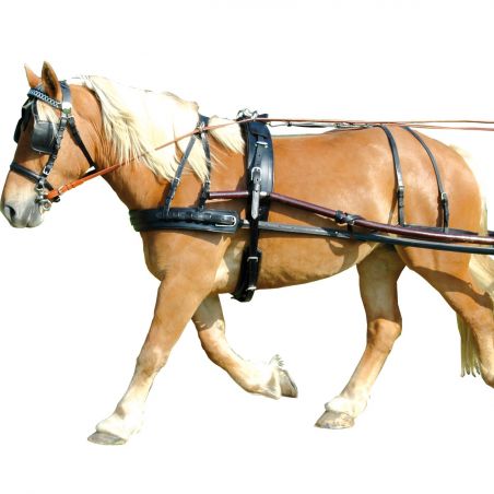 EURO harnas in paar met terugtrekking Chetak