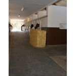 Delta Diam 8 mm - Allee, Führanlage, Solarium