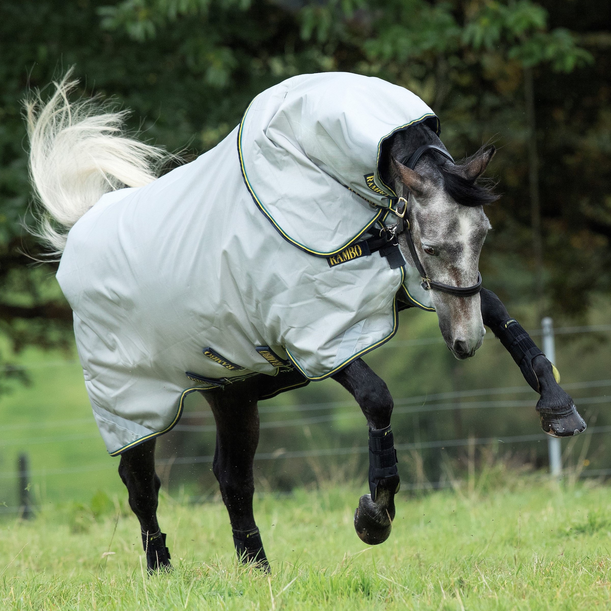 Horseware Rambo Duo 100g deken met liners Grijs