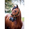 NYLON HALSTER - Groen