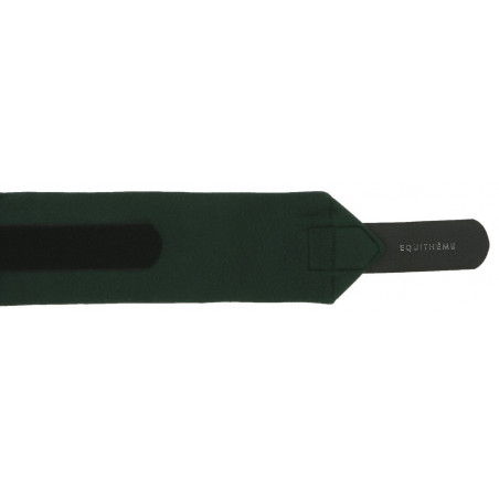 Polo banden Equithème