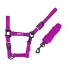 Nylon halster Pool's zwarte gespen met touw - Fuchsia