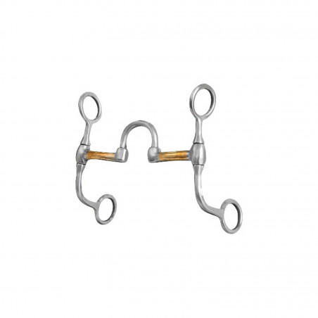 Correctionele mors Western Pool's