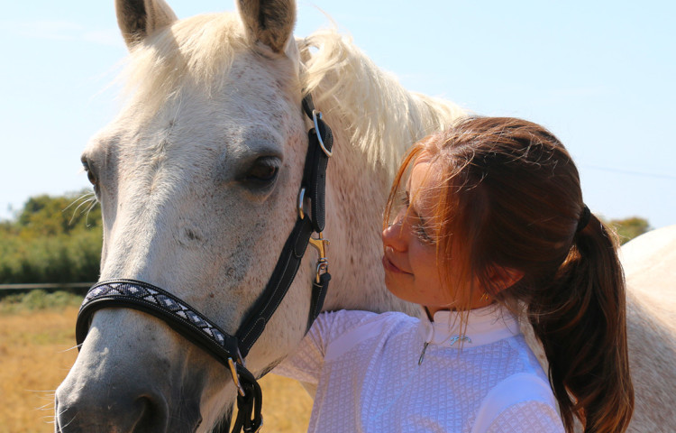 EQUI BLOG