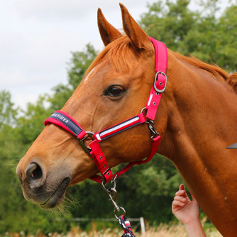 Ontdek de Tommy Equestrian-collectie L/Z 2026