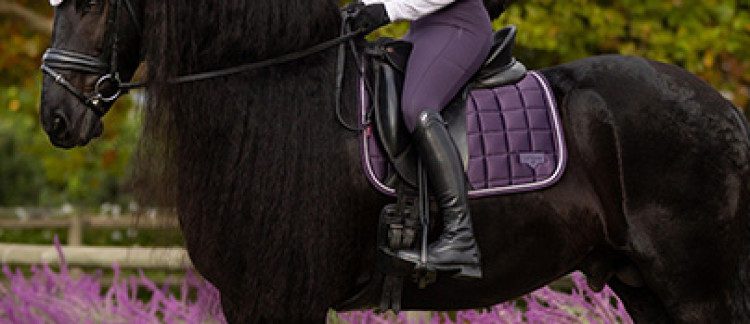 Ontdek de LeMieux herfst- en wintercollectie 2025