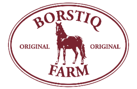 Borstiq