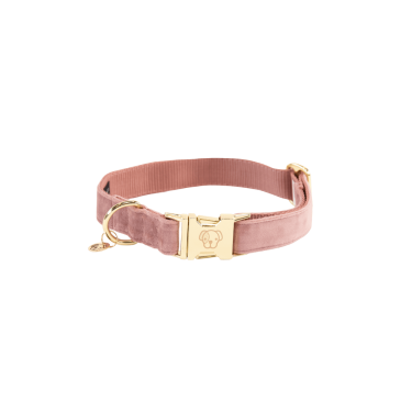 Hondenhalsband Velvet Kentucky Oudroze