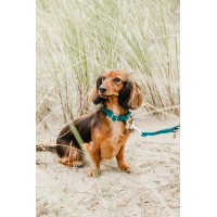 Hondenhalsband Velvet Kentucky Oudroze Hondenhalsband Velvet Kentucky Oudroze