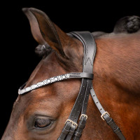 Brida Imperial Riding Olympia Zwart / zilver