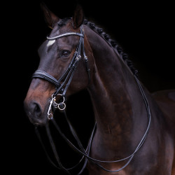Bruideg Imperiaal Riding Fria Zwart
