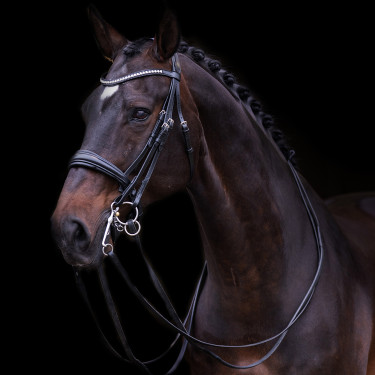 Bride Impérial Riding Fria Bordeaux