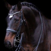 Bride Impérial Riding Fria Bordeaux