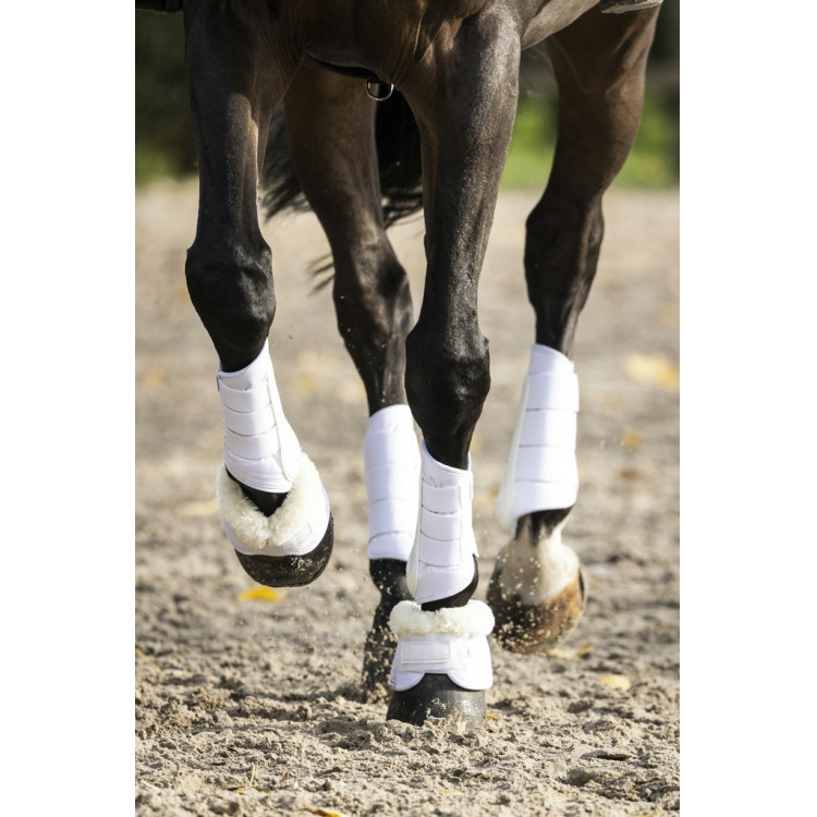 Gesloten peesbeschermers Lami-Cell V22 Brushing boots Gesloten peesbeschermers Lami-Cell V22 Brushing boots