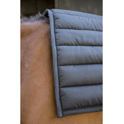 Big Pad Paddock Sports Tapijt Big Pad Paddock Sports Tapijt