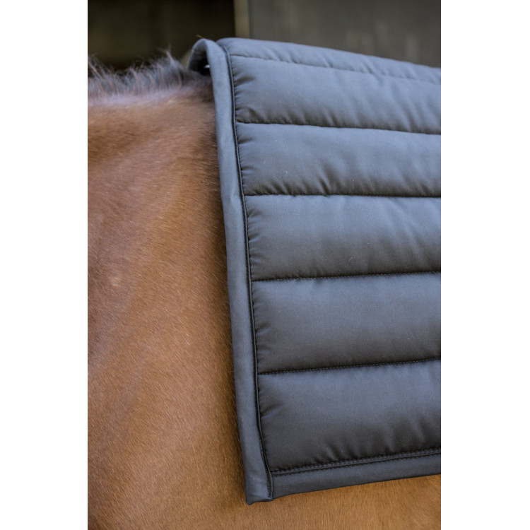 Big Pad Paddock Sports Tapijt Big Pad Paddock Sports Tapijt