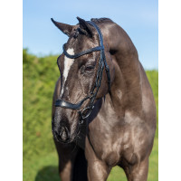 Bridon LeMieux Arika Duitse neusriem Zwart / zilver