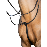 Martingaal met ringen LeMieux Arika Zwart / zilver Martingaal met ringen LeMieux Arika Zwart / zilver