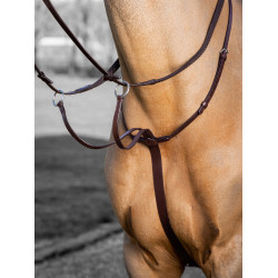 Martingaal met ringen LeMieux Arika