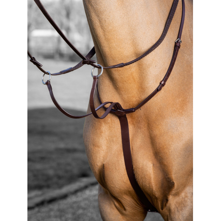 Martingaal met ringen LeMieux Arika