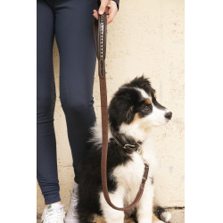 Laat hond Penelope Rubber Laat hond Penelope Rubber