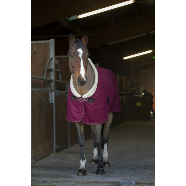 Droogdeken Equithème Teddy Droogdeken Equithème Teddy