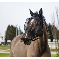 Halster + UV-beschermend masker Equithème Zwart