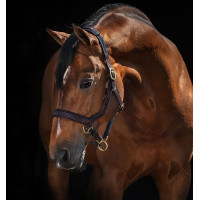 Halster Rambo Micklem Horseware Bruin Halster Rambo Micklem Horseware Bruin