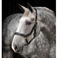 Halster Rambo Micklem Horseware Zwart