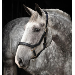 Halster Rambo Micklem Horseware