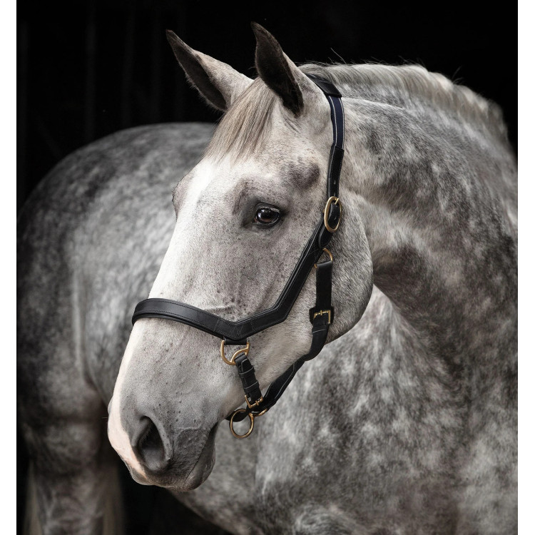 Halster Rambo Micklem Horseware