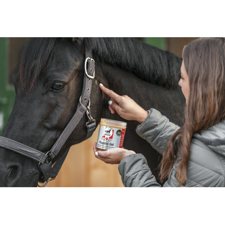 Gel Leovet Propolis Eerste Hulp Gel Leovet Propolis Eerste Hulp