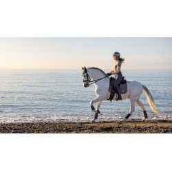 Zadeldek LeMieux Earth Dressuur Square Mos Bruin Zadeldek LeMieux Earth Dressuur Square Mos Bruin