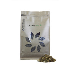 Phyto Derm
