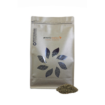 Phyto Draineur Phyto Master